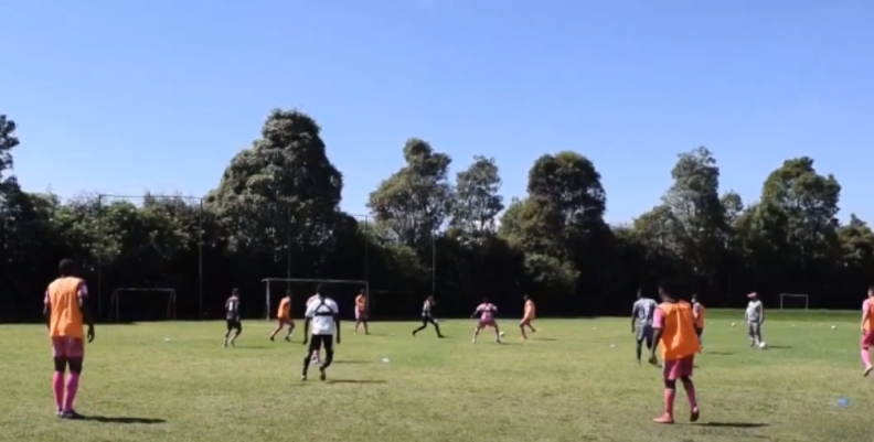 entrenamiento entrenamiento
