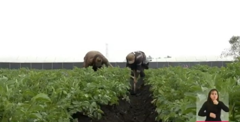Gobierno Nacional radicó proyecto que busca beneficiar a productores agropecuarios Gobierno Nacional radicó proyecto que busca beneficiar a productores agropecuarios