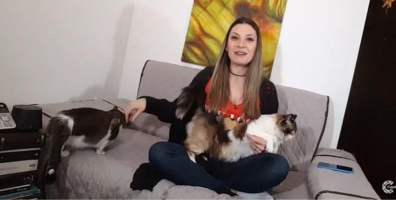 DesdeMiCasa DesdeMiCasa