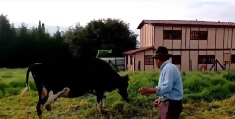 Llamar a las vacas por su nombre Llamar a las vacas por su nombre