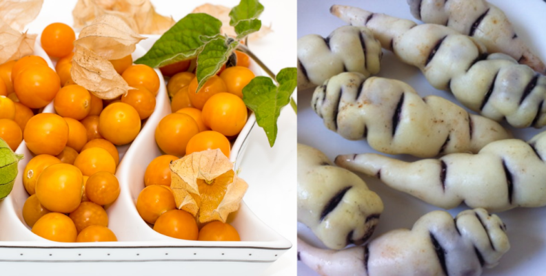 cubios y chuvuas cubios y chuvuas