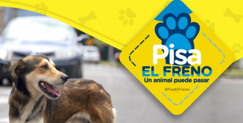 Pisa el freno. Pisa el freno.