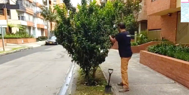 Compostaje y reciclaje para árboles Compostaje y reciclaje para árboles