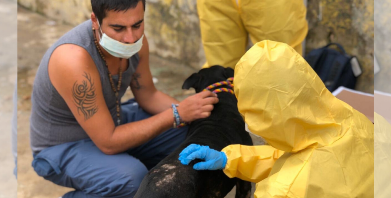 Jornada de salud de animales Jornada de salud de animales