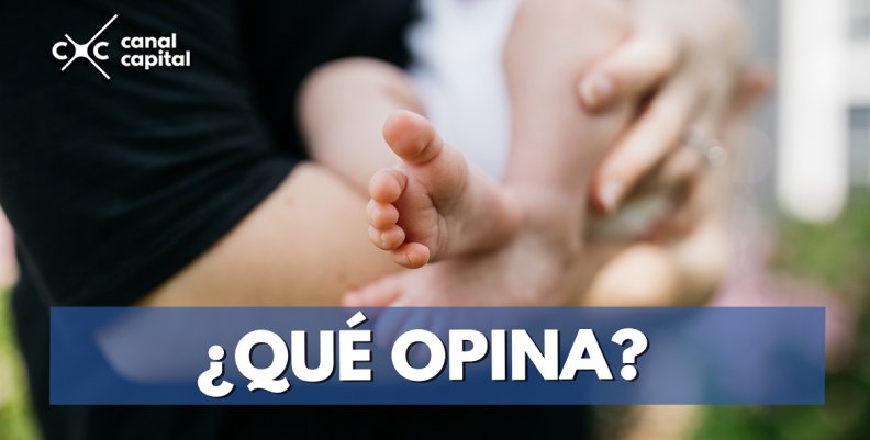 licencia licencia