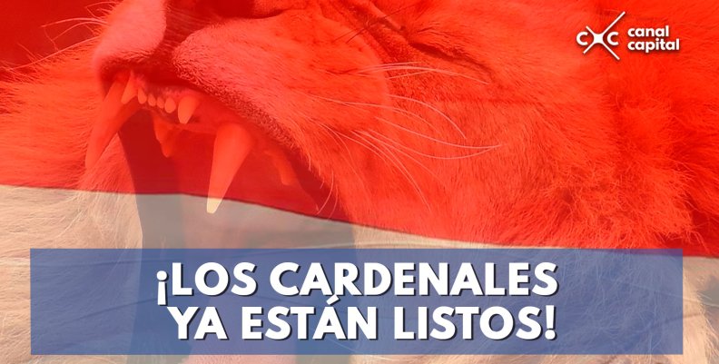 Santa Fe hace oficial su plantilla para el 2018 II Santa Fe hace oficial su plantilla para el 2018 II