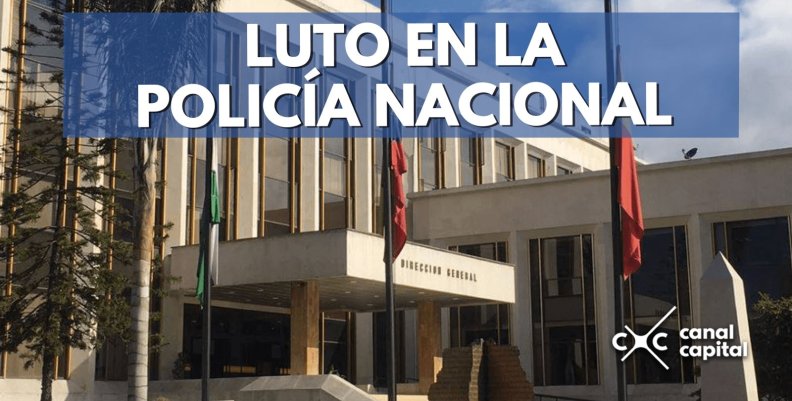 luto-min-min luto-min-min
