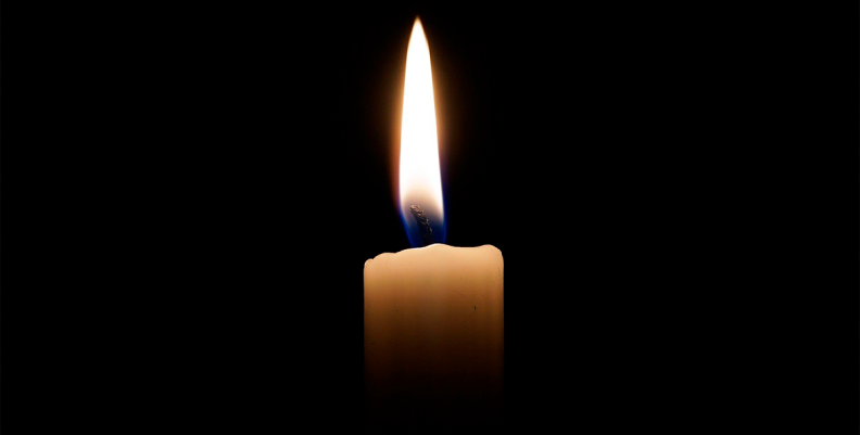 LUZ LUZ