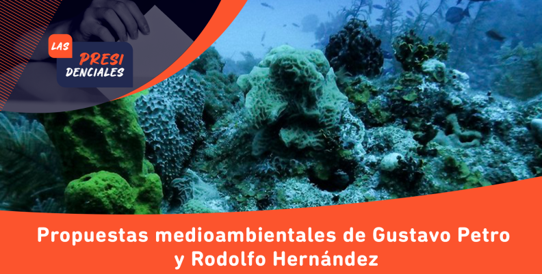 MEDIOAMBIENTE 1 MEDIOAMBIENTE 1