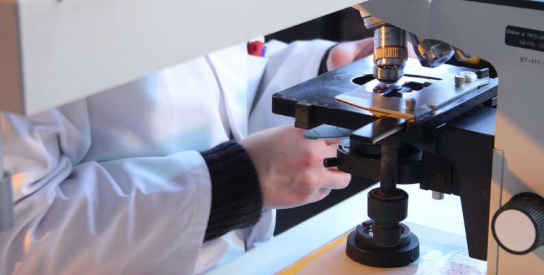 microscope-4996904_1920 microscope-4996904_1920
