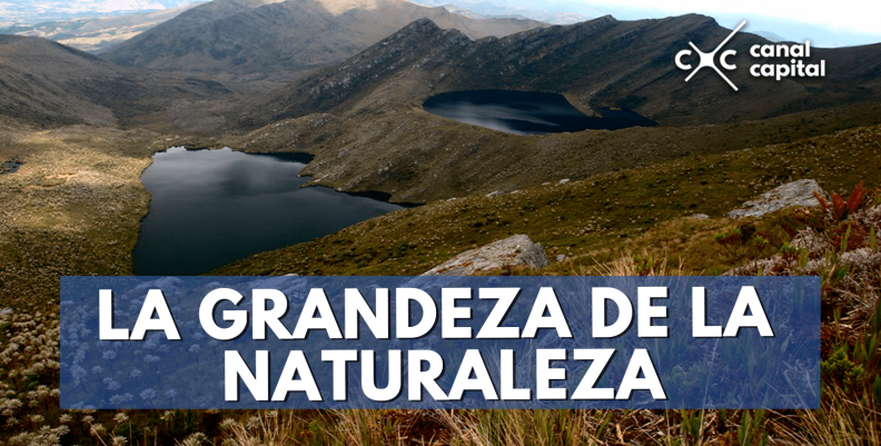 naturaleza-min naturaleza-min