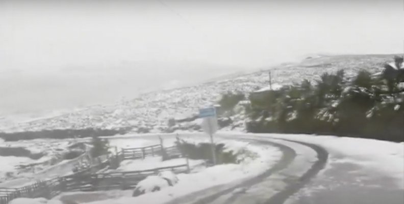 Nieve Nieve