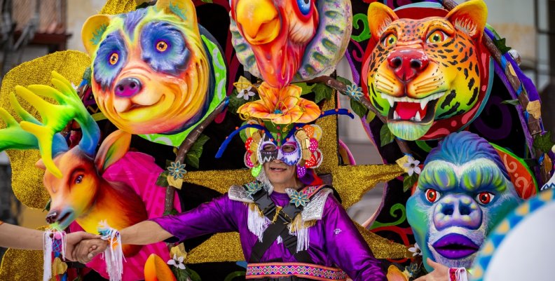 Carnaval de Negros y Blancos Disfraz del Carnaval de Negros y Blancos