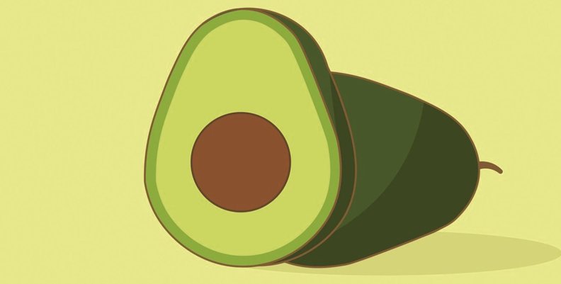 La semilla del aguacate que salva el planeta Semilla de aguacate