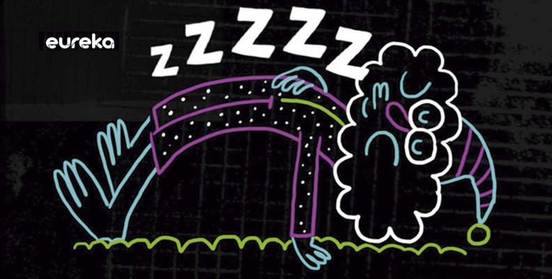hábitos del sueño hábitos del sueño