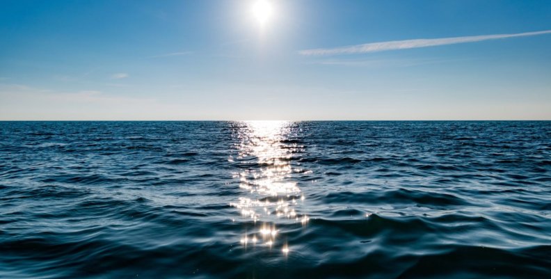Día Mundial de los Océanos - Aquae Día Mundial de los Océanos - Aquae