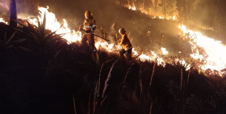 Incendio Bomberos apagando un incendio en un bosque