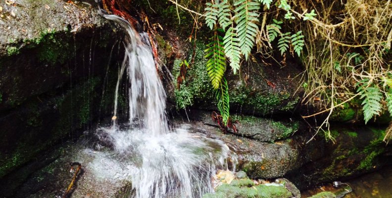 Denuncian contaminación en la quebrada ‘La sureña’ de Usaquén Quebradas en Usaquén