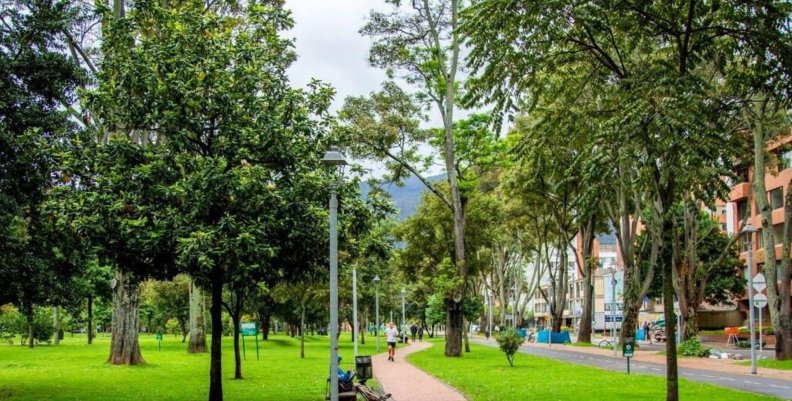 Árboles Parque rodeado de árboles