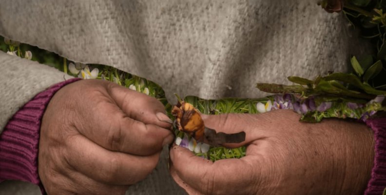 Mes del Patrimonio 2023 Manos de una campesina