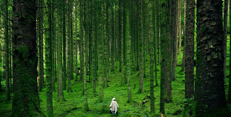 Contaminación Naturaleza