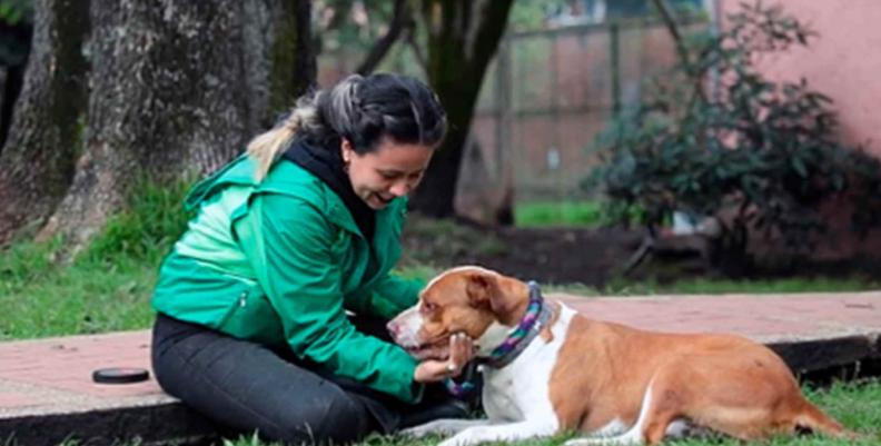 Imagen: Alcaldía de Bogotá Funcionaria del Instituto Distrital de Protección Animal acariciando un perro