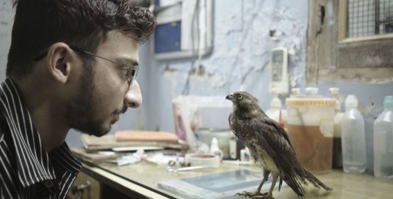 Festival Planet On 2023 Escena de una película sobre conciencia ambiental