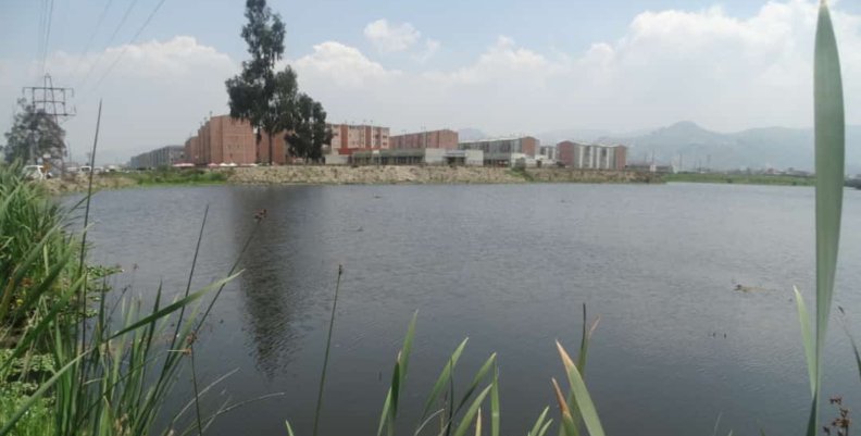 Ministerio de Ambiente implementa medidas de protección para los Humedales en Bogotá Humedal Juan Amarillo