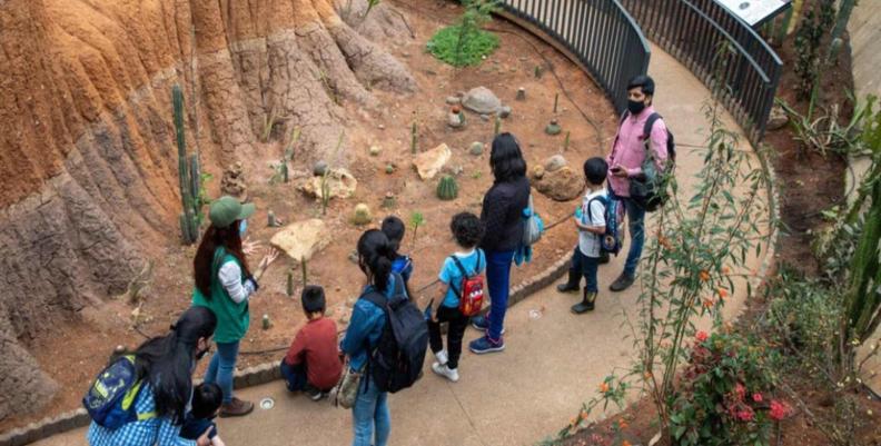 Imagen: Jardín Botánico José Celestino Mutis Niños en recorrido del Club de Ciencias
