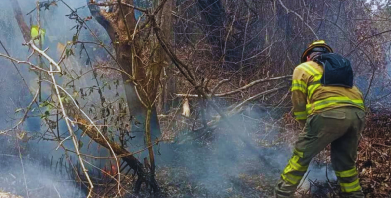 Incendios forestales: Cómo evitar y prevención | Bogotá Incendios forestales: Cómo evitar y prevención | Bogotá