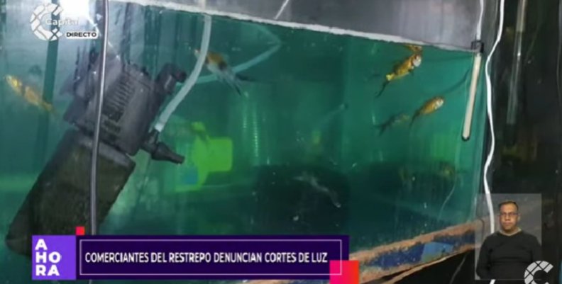 Plaza Restrepo Imagen de una tienda de animales en la Plaza Restrepo
