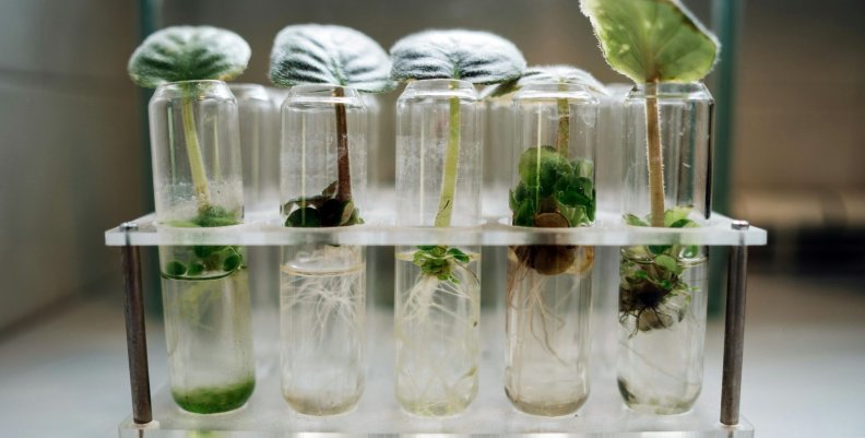 Biotecnología Biotecnología