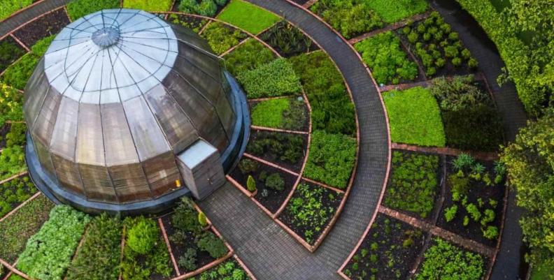 Imagen: Alcaldía de Bogotá Imagen del Tropicario del Jardín Botánico José Celestino Mutis