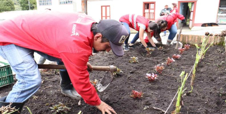 Imagen: Alcaldía local de Sumapaz Personas cultivando la tierra