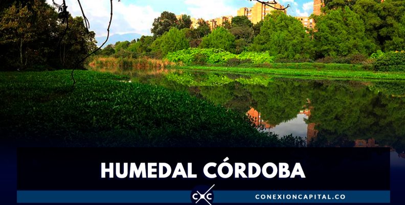 Solucionarán pleito por invasión en el humedal Córdoba Solucionarán pleito por invasión en el humedal Córdoba