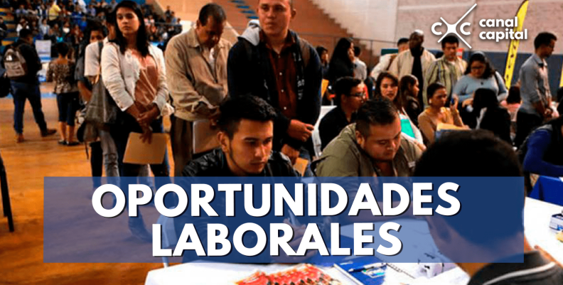 oportunidades--min oportunidades--min