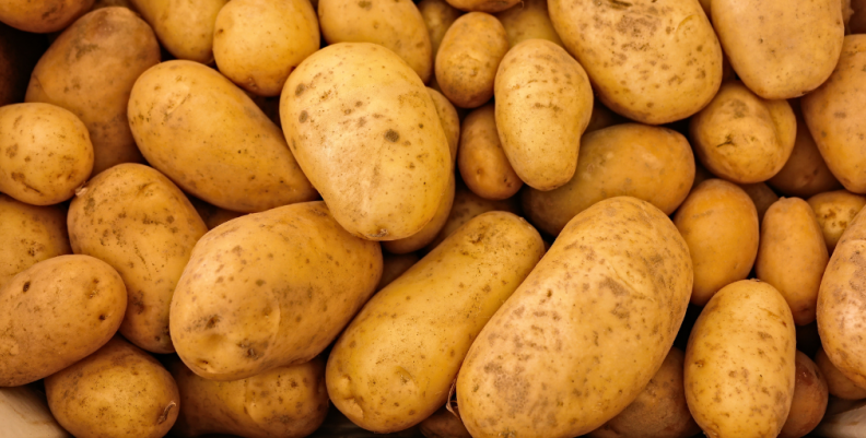 Agricultores piden ayuda por los bajos precios de la papa. Agricultores piden ayuda por los bajos precios de la papa.