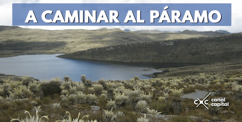 Paramo_sumapaz Paramo_sumapaz