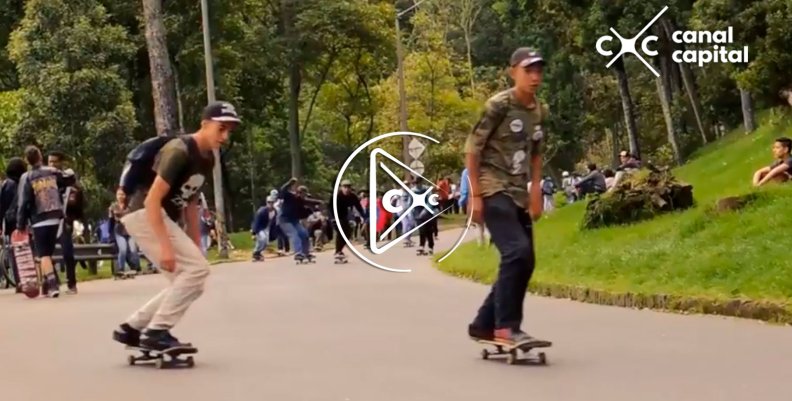 patineta patineta