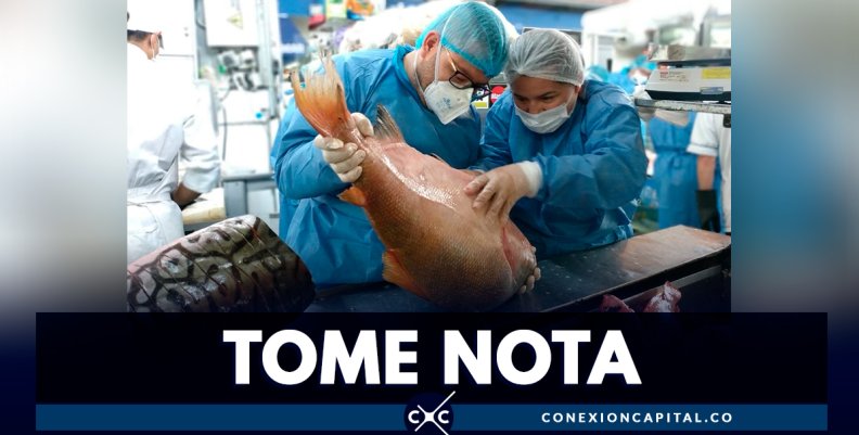 ¿Cómo identificar el pescado en mal estado? ¿Cómo identificar el pescado en mal estado?