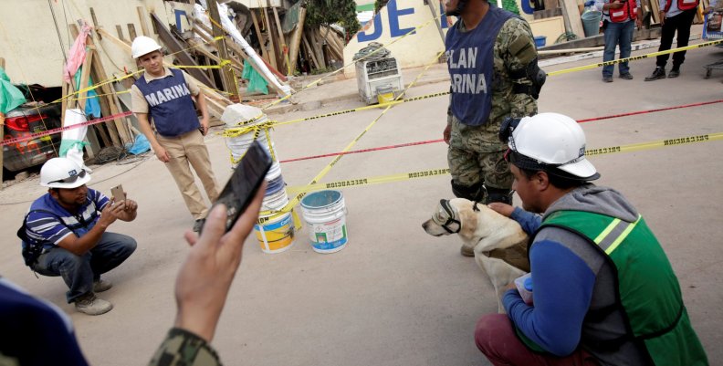 People pose for a picture with rescue dog Frida after an earthquake hit Mexico City, Mexico People pose for a picture with rescue dog Frida after an earthquake hit Mexico City, Mexico