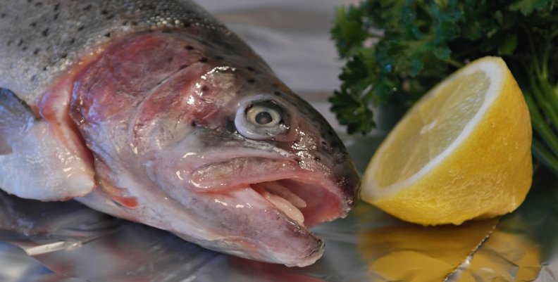 pescado (1) pescado (1)