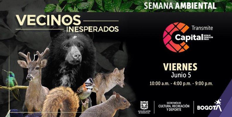 Vecinos Inesperados Vecinos Inesperados