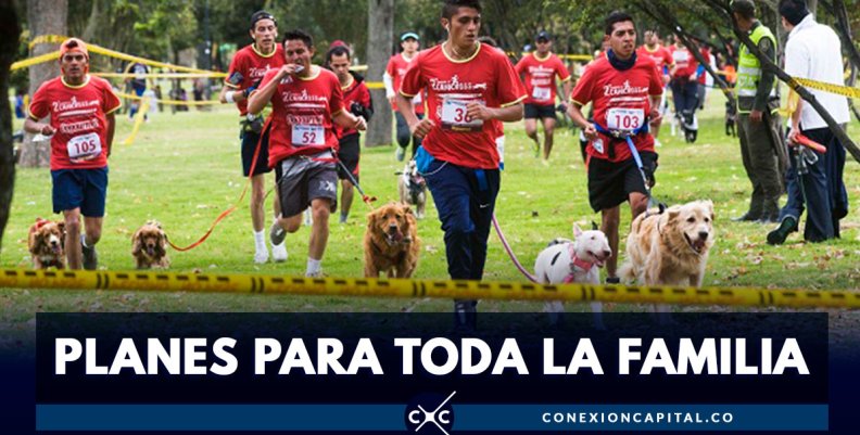 PLANES-PARA-TODA-LA-FAMILIA PLANES-PARA-TODA-LA-FAMILIA