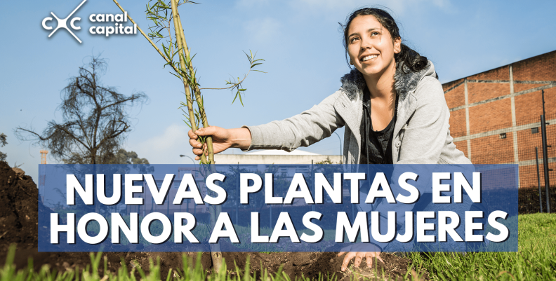 plantas-min plantas-min