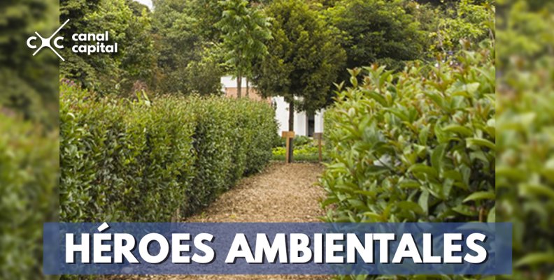 Jardín Botánico de Bogotá produjo cerca de 150 toneladas de abono en 2018 Jardín Botánico de Bogotá produjo cerca de 150 toneladas de abono en 2018