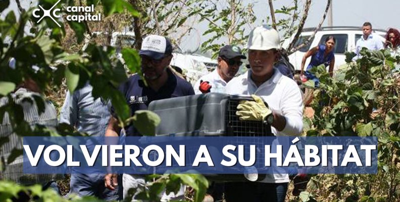 plantilla noticias (1) (1) plantilla noticias (1) (1)