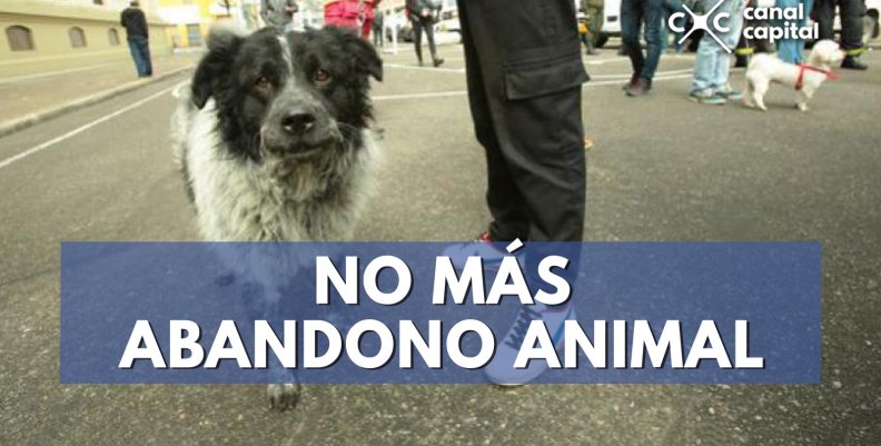 plantilla noticias-3 (11) plantilla noticias-3 (11)