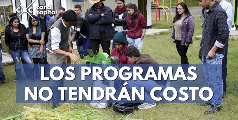 programas programas