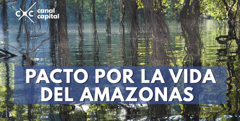 Amazonas Amazonas